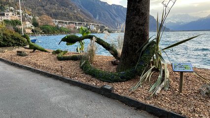 Anaconda