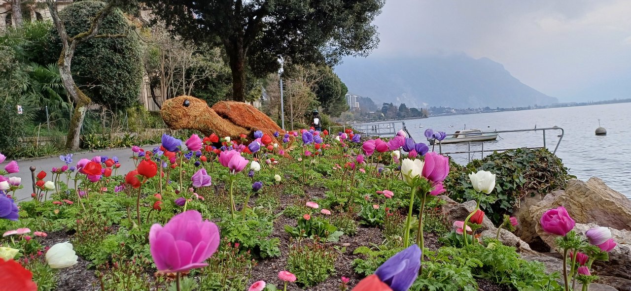 Montreux 15 mars 2025