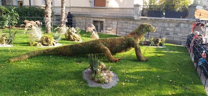 Dragon de Komodo