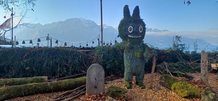 Sylvestris Sylvestris