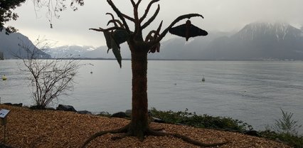 Le Buddleja ou Arbres à papillons