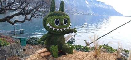 Picastor lacustrus Picastor lacustrus