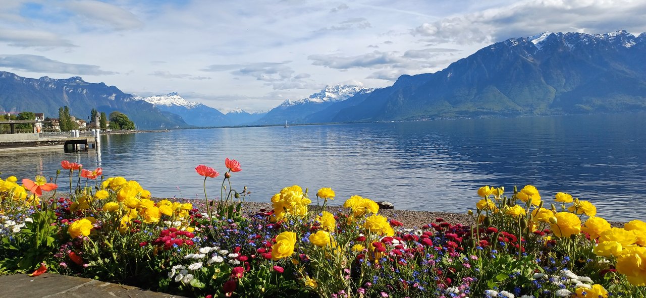 Vevey 4 mai  2024