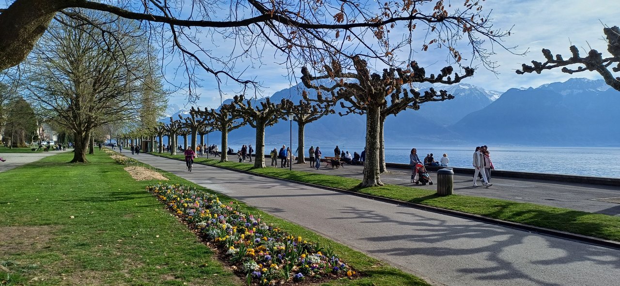  Jardin Roussy-La Tour-de-Peilz-30 mars 2025