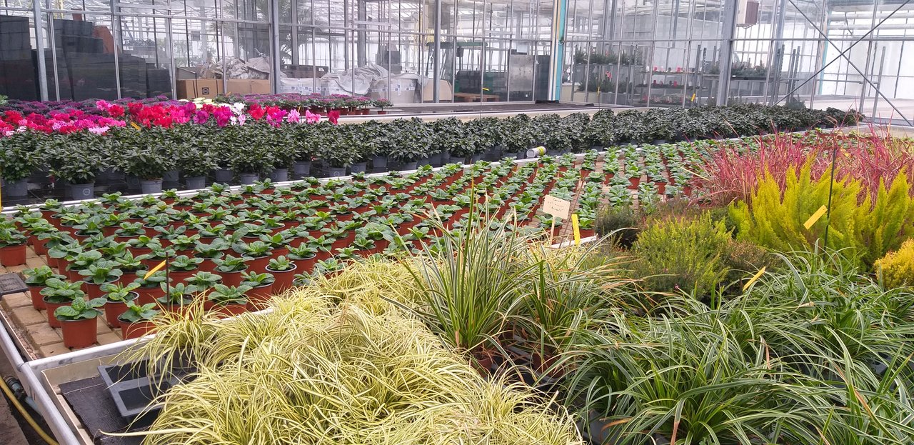 Établissement horticole de Cernier Établissement horticole de Cernier