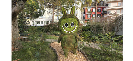 Labubus fugitus Labubus fugitus