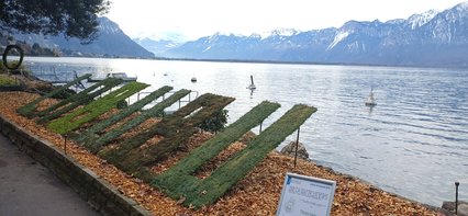 Titulus tipicus Titulus tipicus