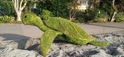 Tortue