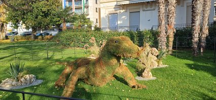 Dragon de Komodo