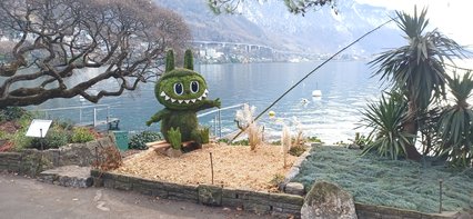 Picastor lacustrus Picastor lacustrus