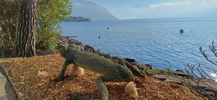 Grenouille