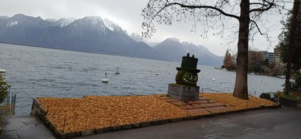 Fumarius fortunatus Fumarius fortunatus