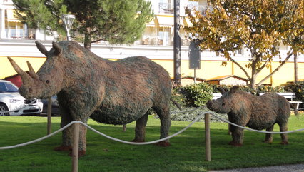 2004 - Thème - Animaux en voie de disparition