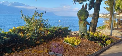 Hortulanus Hortulanus