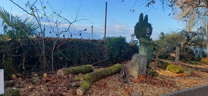 Sylvestris Sylvestris