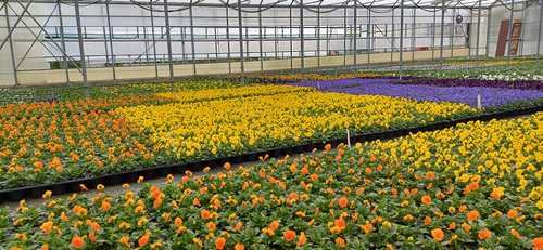 Établissement horticole de Montreux