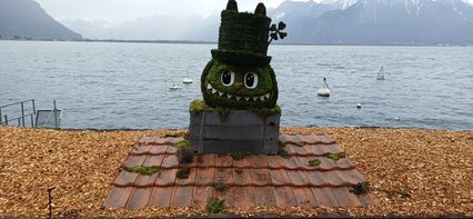 Fumarius fortunatus Fumarius fortunatus