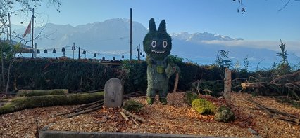 Sylvestris Sylvestris