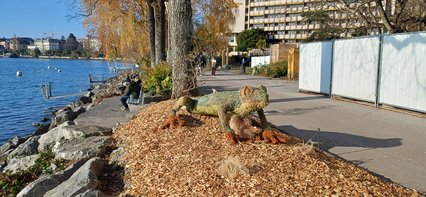 Grenouille