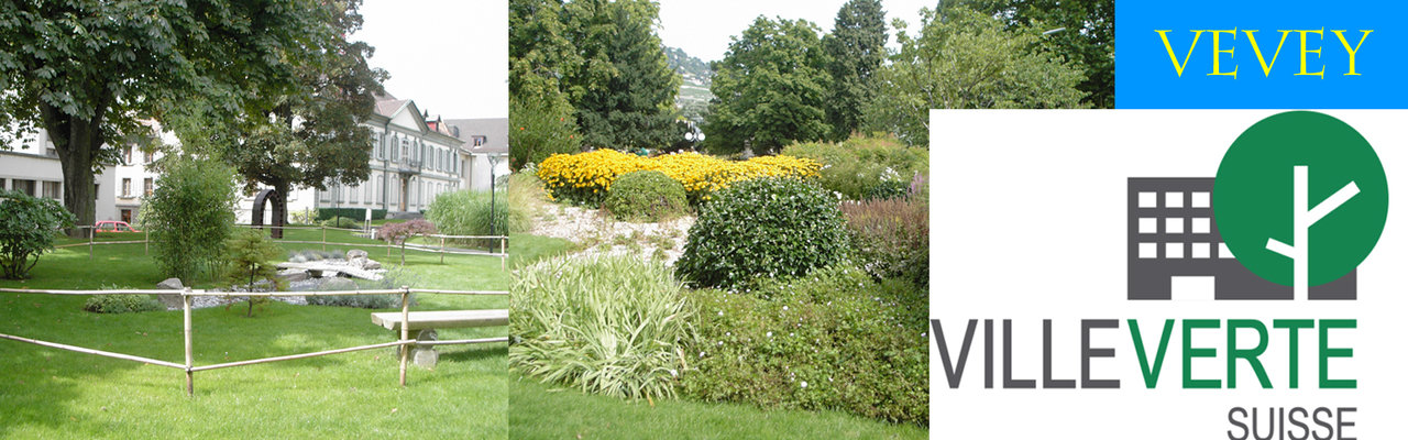 Ville de Vevey