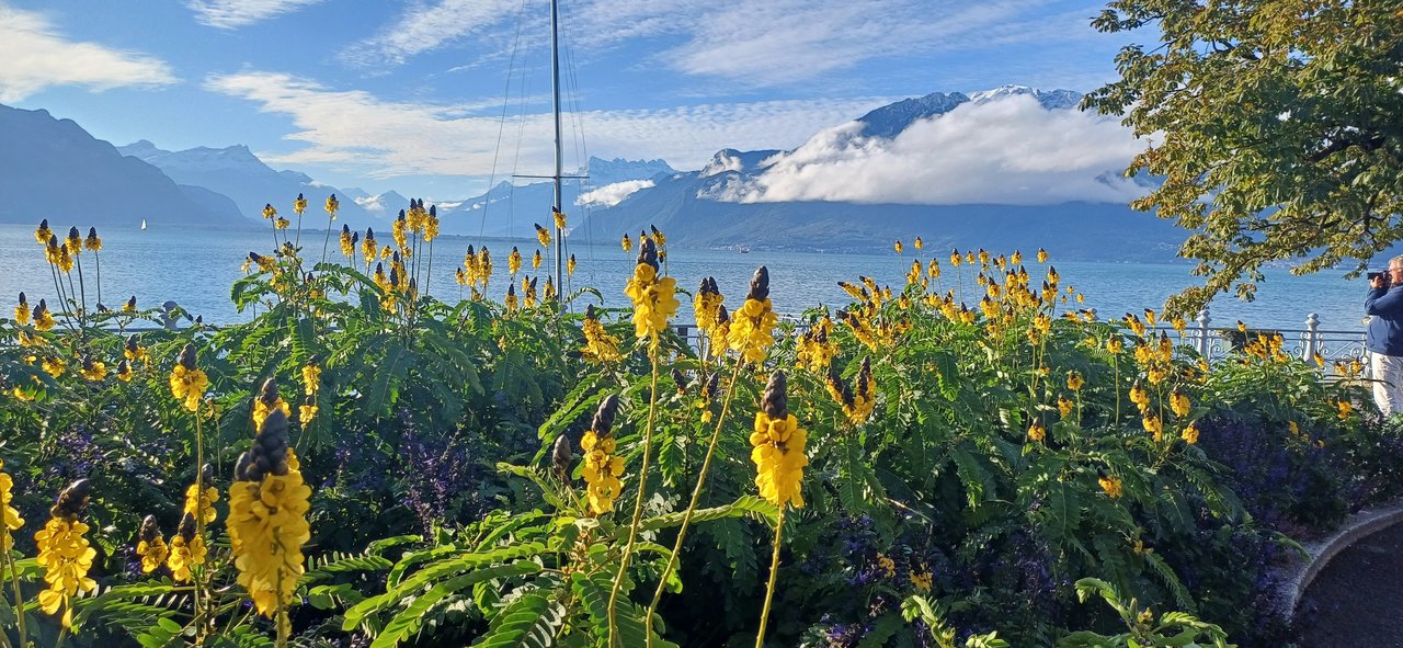 Vevey 29 septembre 2024