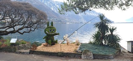 Picastor lacustrus Picastor lacustrus