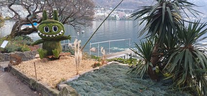 Picastor lacustrus Picastor lacustrus