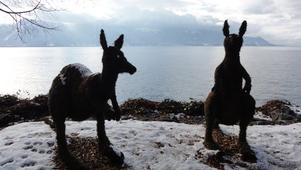 2010 - Thème - Les Animaux exotiques