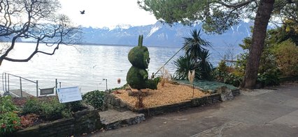 Picastor lacustrus Picastor lacustrus