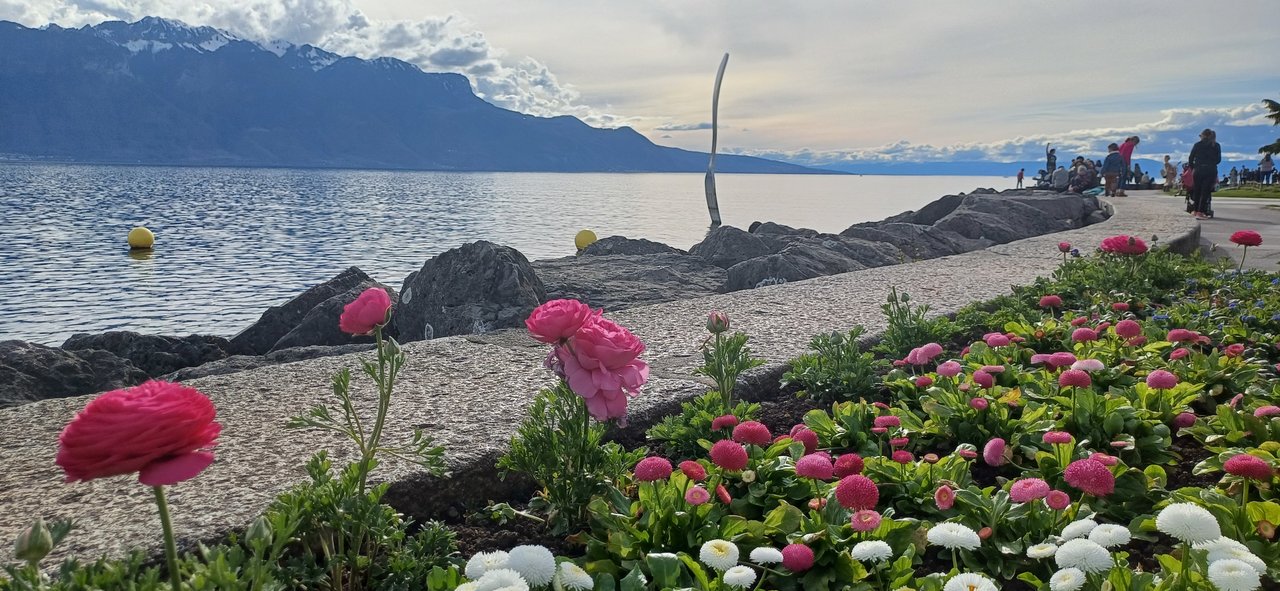 Vevey 23 mars 2025