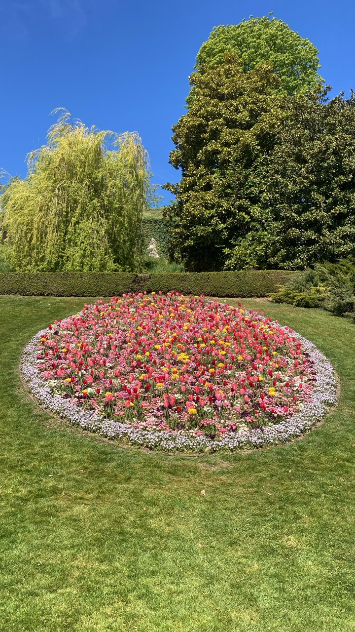Médaillon des Espaces Verts de Nyon printemps 2025